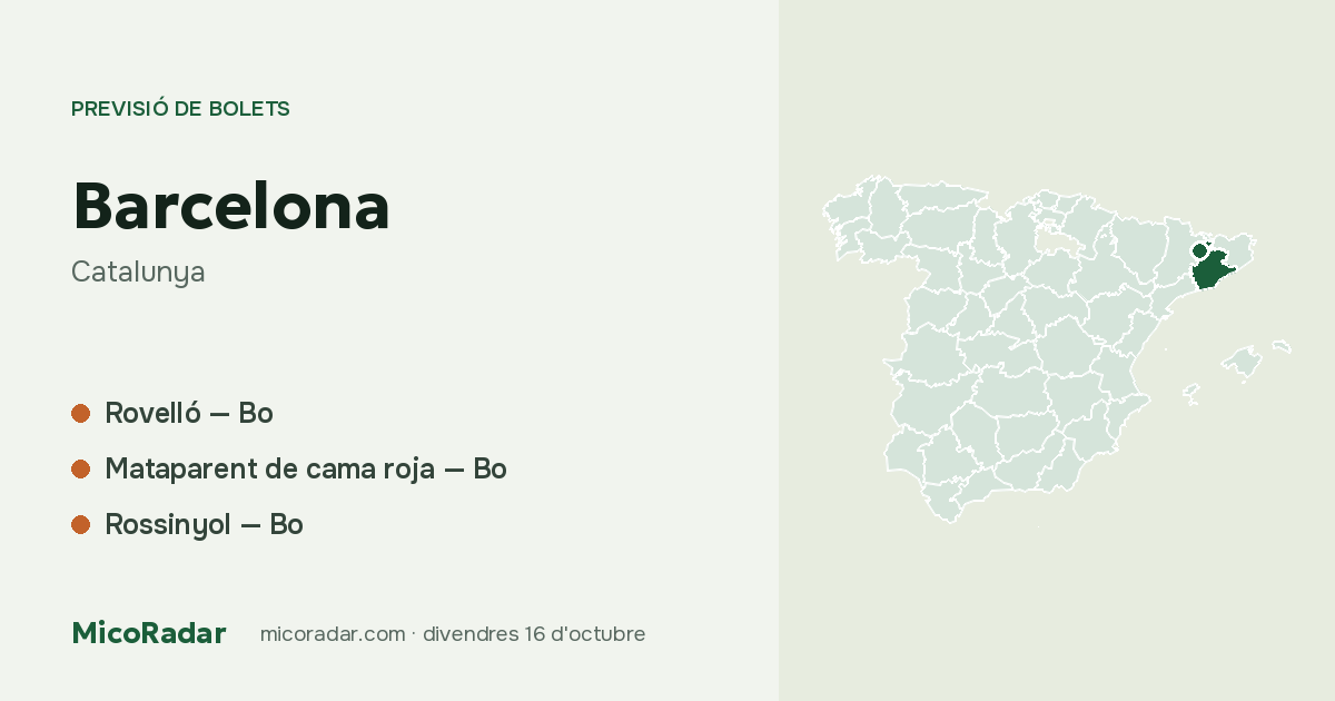 Previsió de bolets d’avui: Barcelona