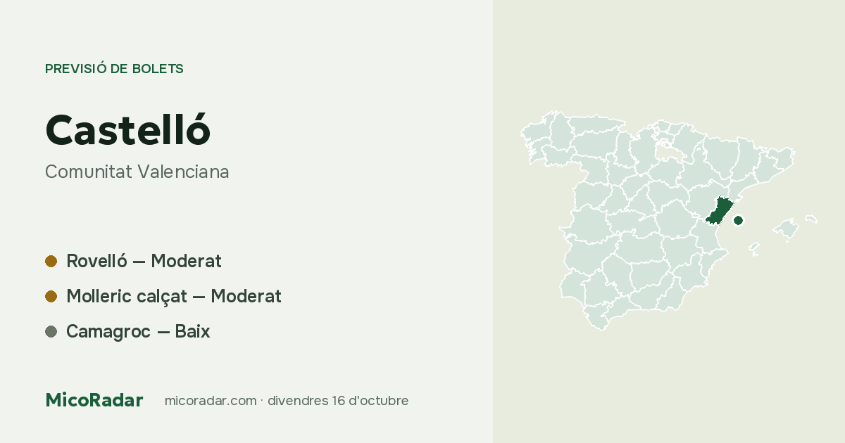 Previsió de bolets d’avui: Castelló