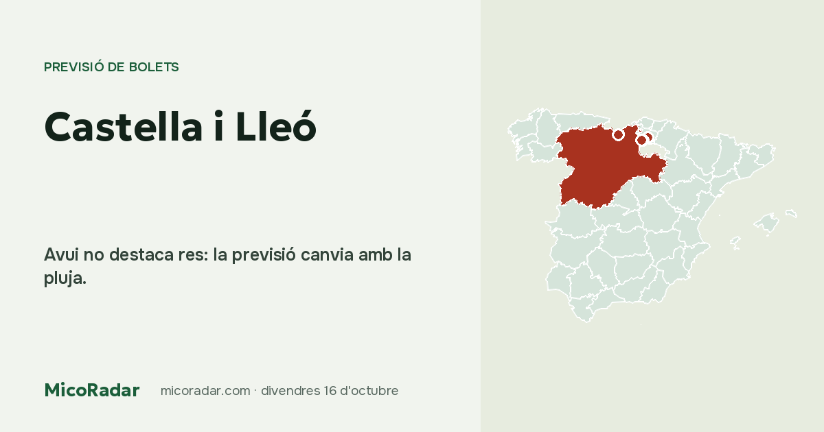 Previsió de bolets d’avui: Castella i Lleó