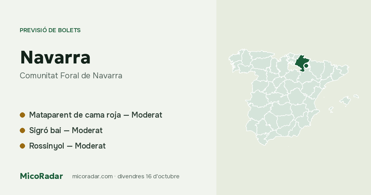 Previsió de bolets d’avui: Navarra
