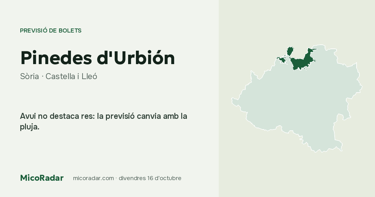 Previsió de bolets d’avui: Pinedes d'Urbión