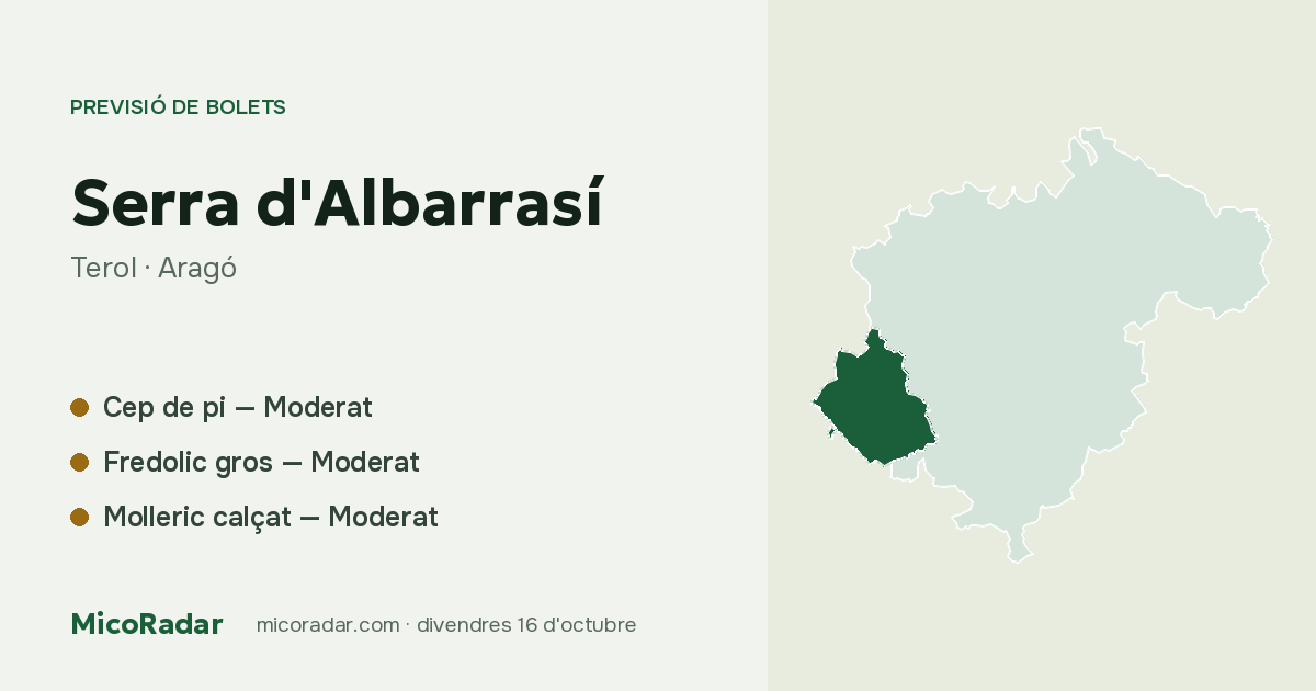 Previsió de bolets d’avui: Serra d'Albarrasí