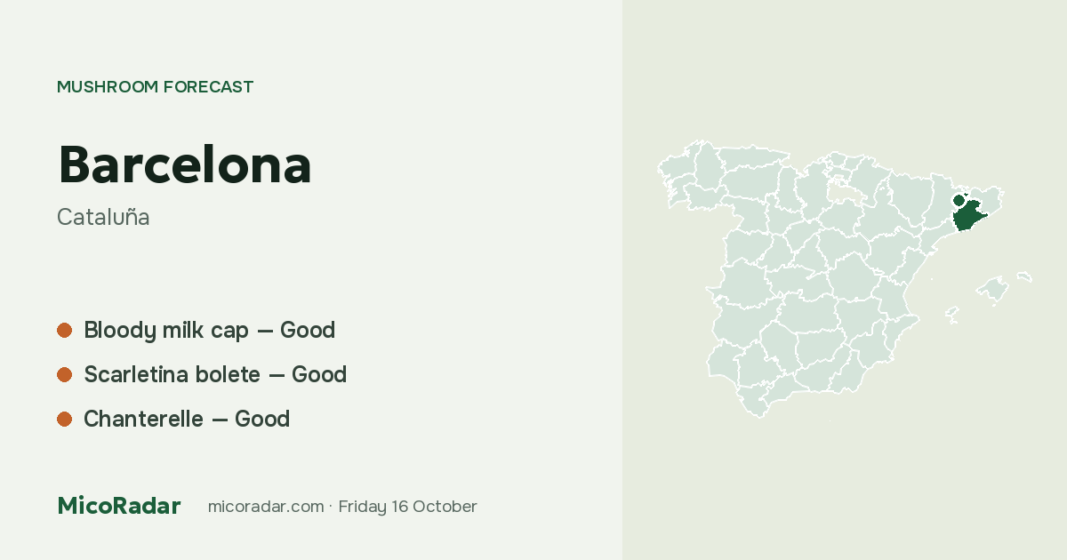 Today’s mushroom forecast: Barcelona