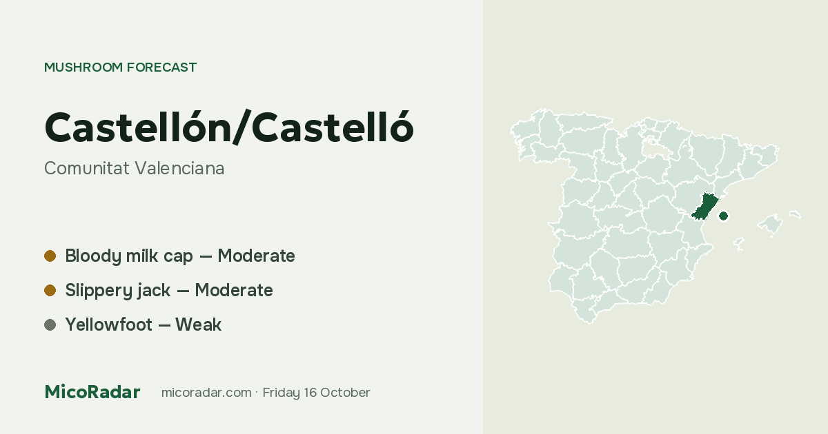 Today’s mushroom forecast: Castellón/Castelló
