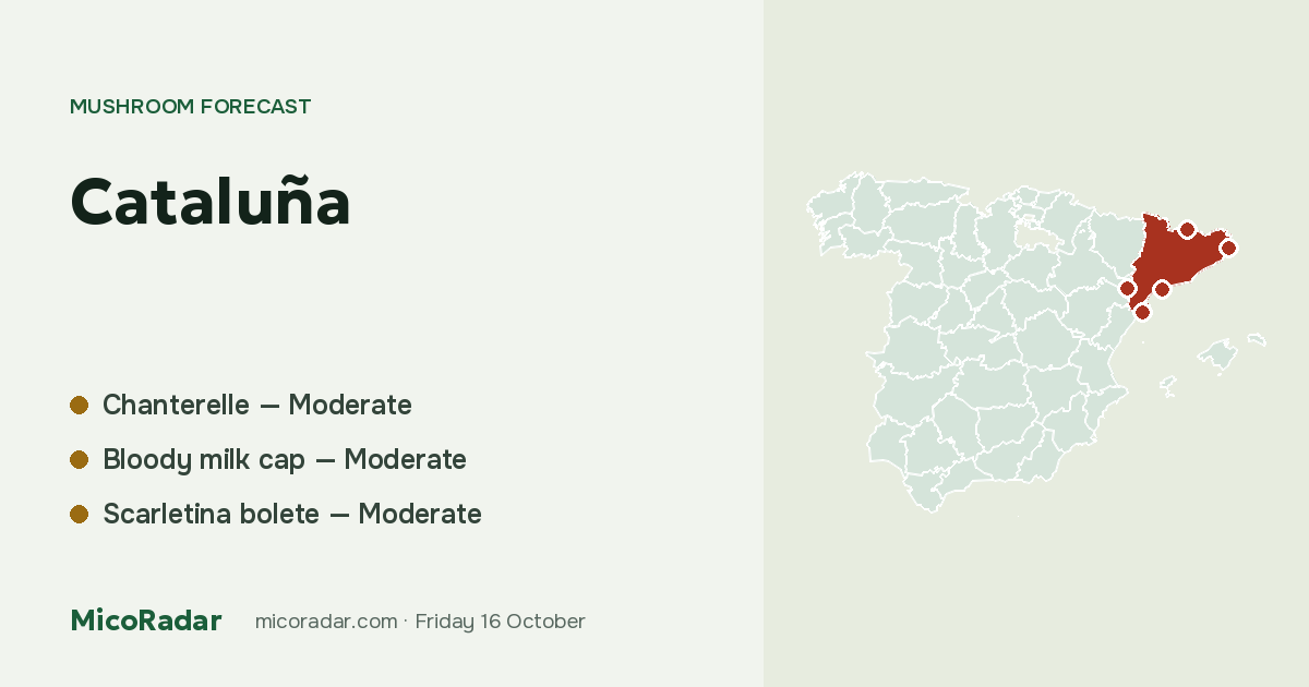 Today’s mushroom forecast: Cataluña