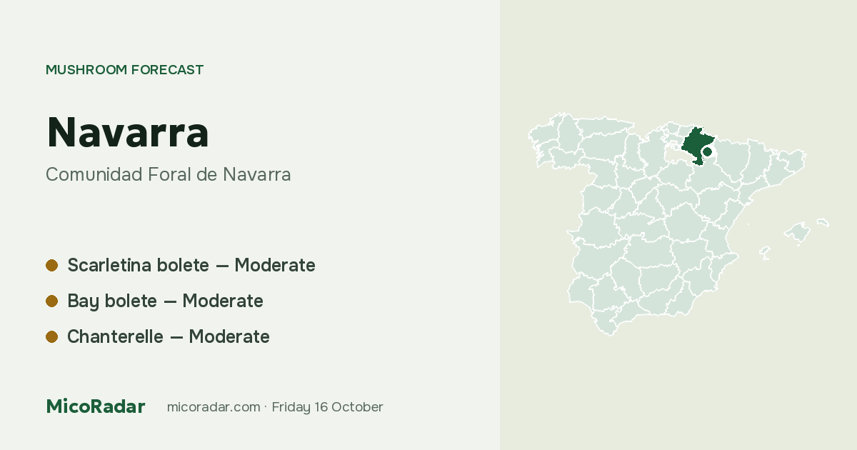 Today’s mushroom forecast: Navarra