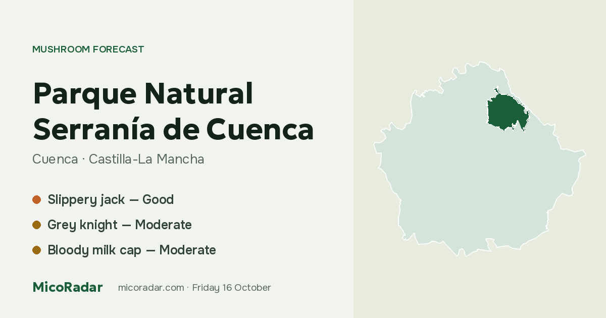 Today’s mushroom forecast: Parque Natural Serranía de Cuenca