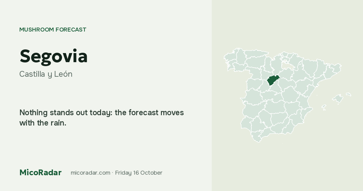 Today’s mushroom forecast: Segovia