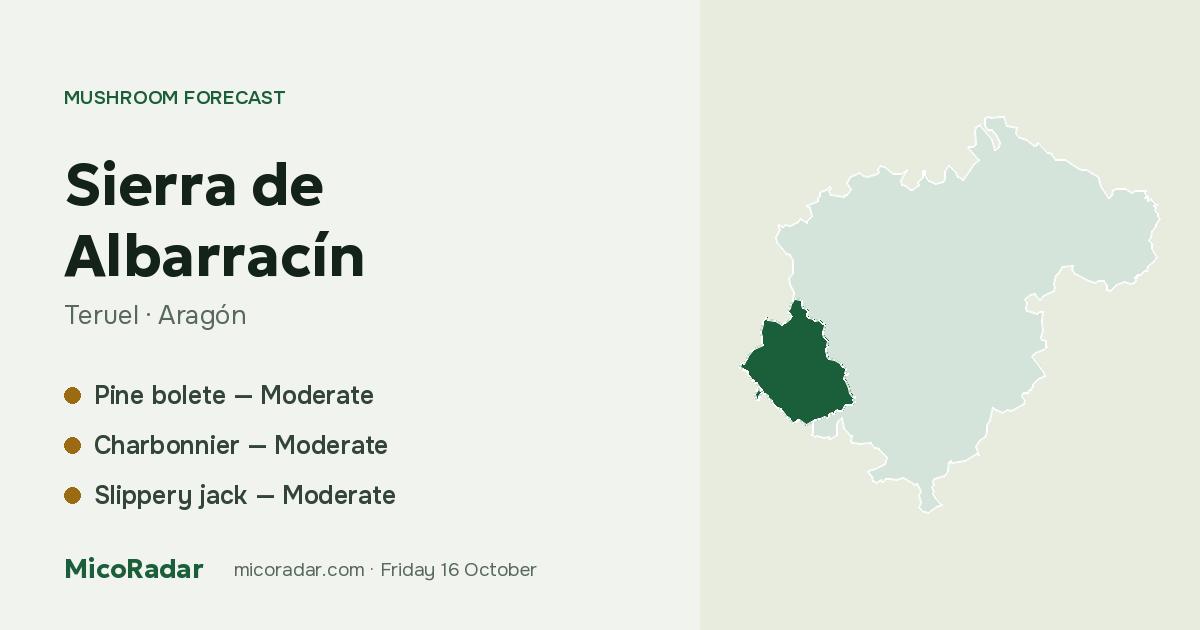 Today’s mushroom forecast: Sierra de Albarracín