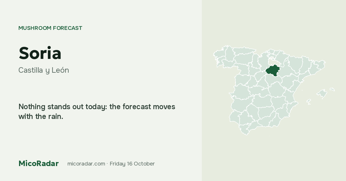 Today’s mushroom forecast: Soria