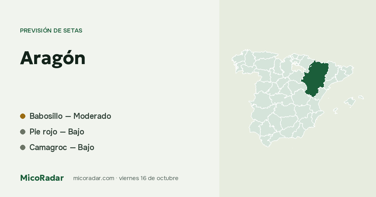 Previsión de setas de hoy: Aragón