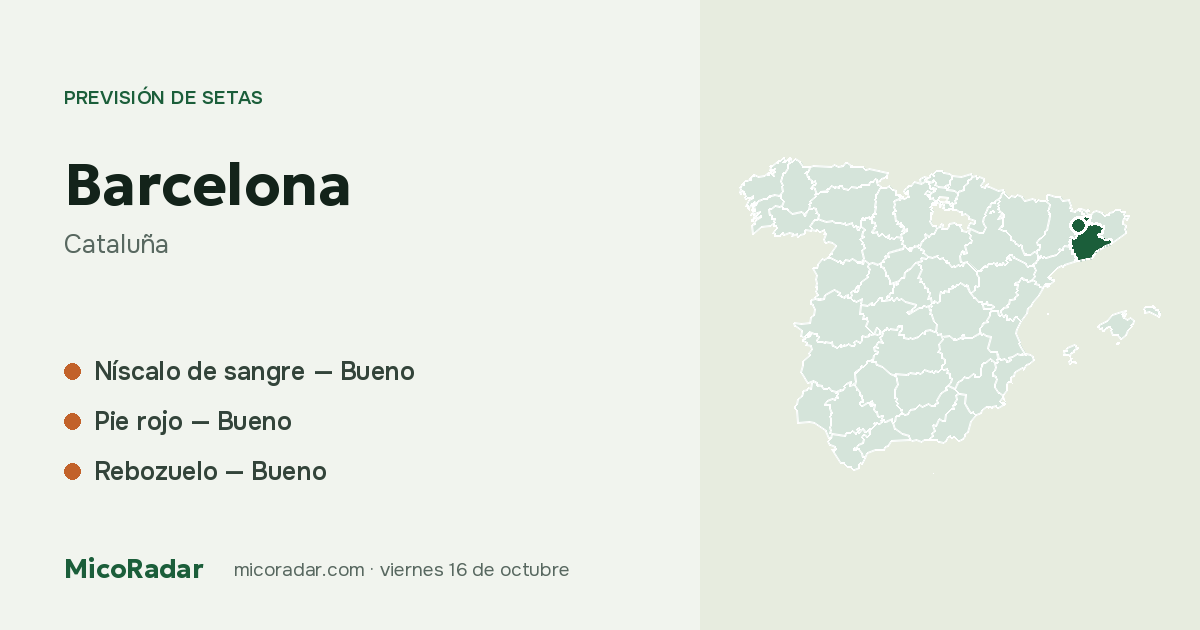 Previsión de setas de hoy: Barcelona