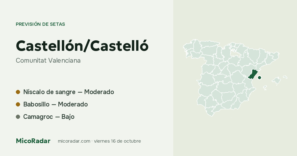 Previsión de setas de hoy: Castellón/Castelló