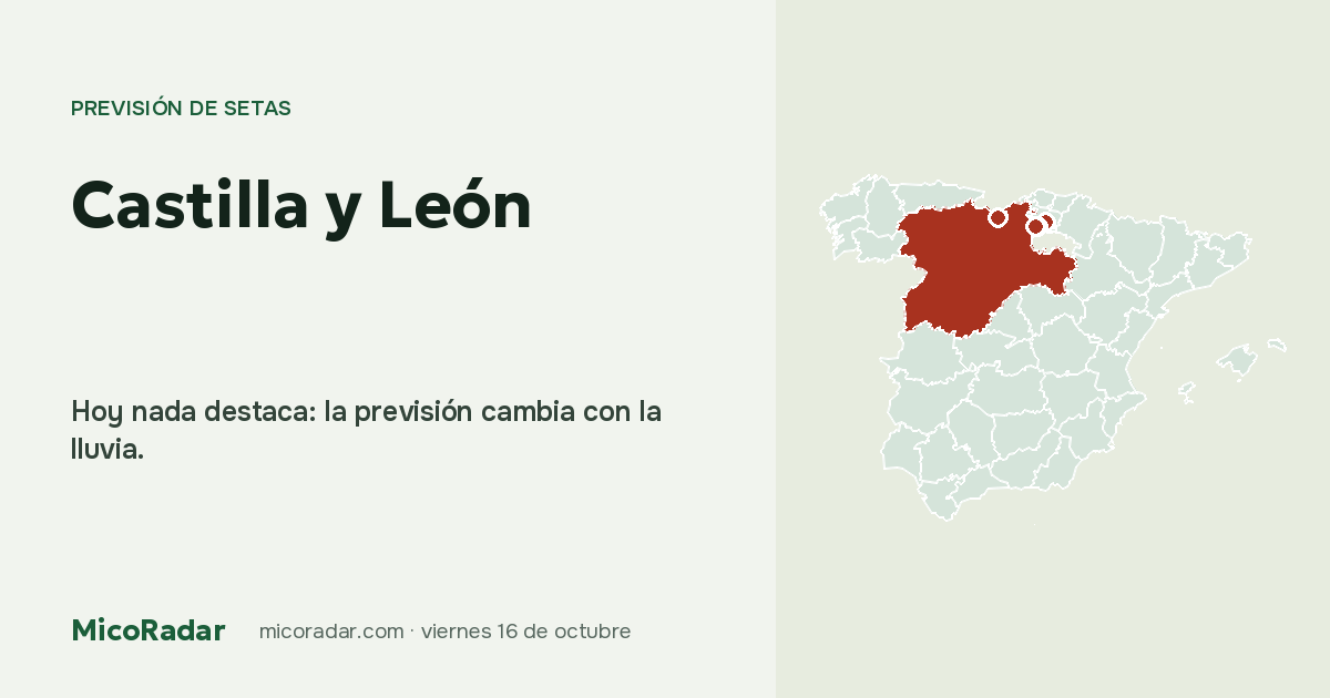 Previsión de setas de hoy: Castilla y León