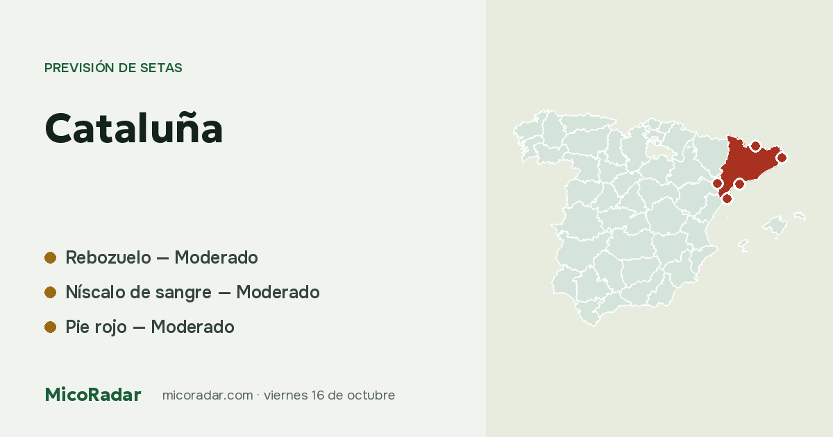 Previsión de setas de hoy: Cataluña