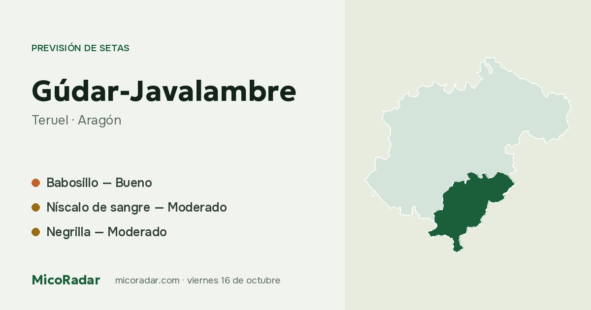 Previsión de setas de hoy: Gúdar-Javalambre