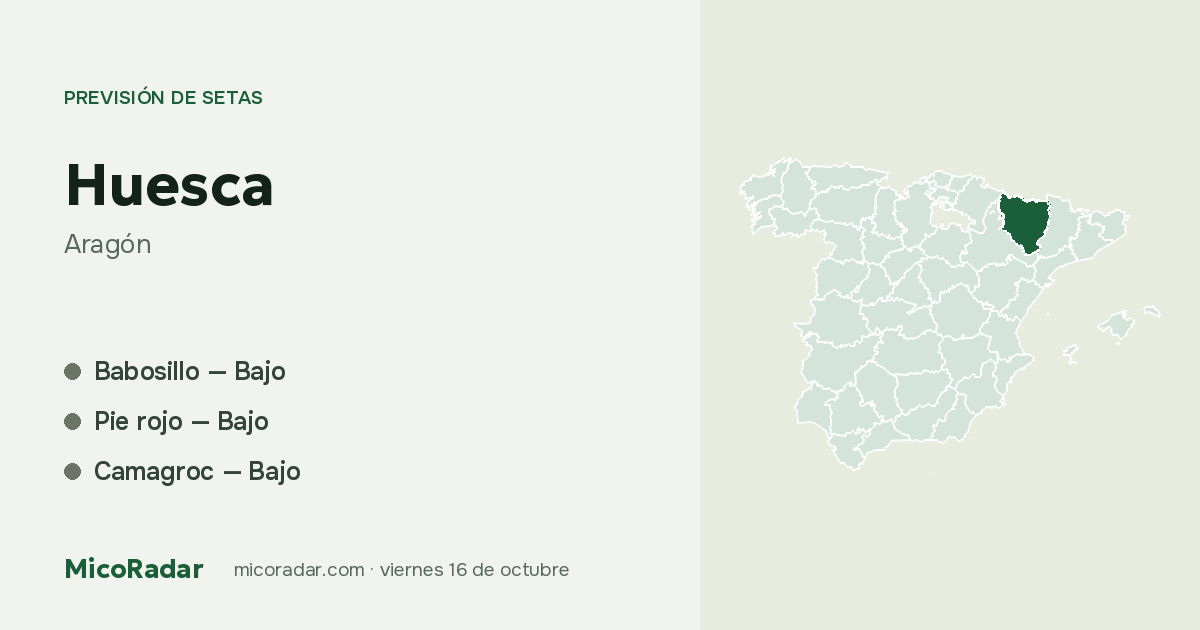 Previsión de setas de hoy: Huesca