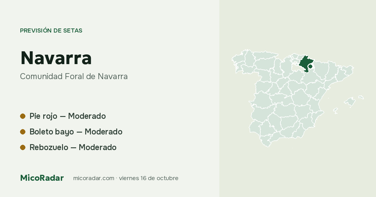 Previsión de setas de hoy: Navarra