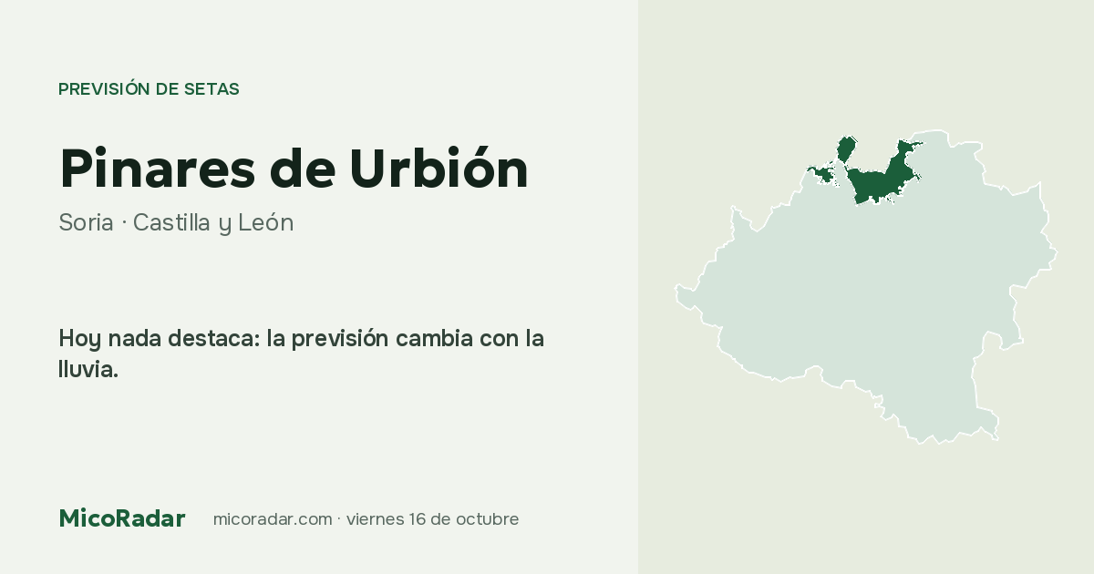 Previsión de setas de hoy: Pinares de Urbión