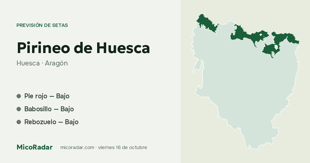 Previsión de setas de hoy: Pirineo de Huesca