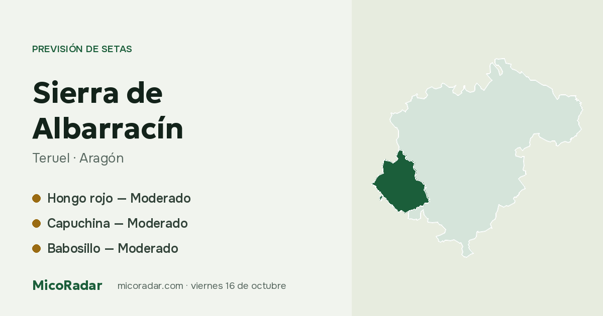 Previsión de setas de hoy: Sierra de Albarracín