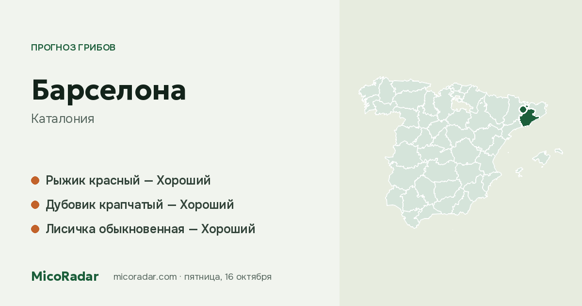 Прогноз грибов на сегодня: Барселона