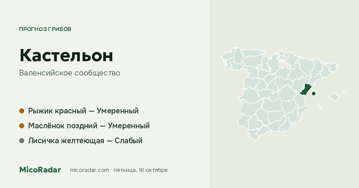 Прогноз грибов на сегодня: Кастельон