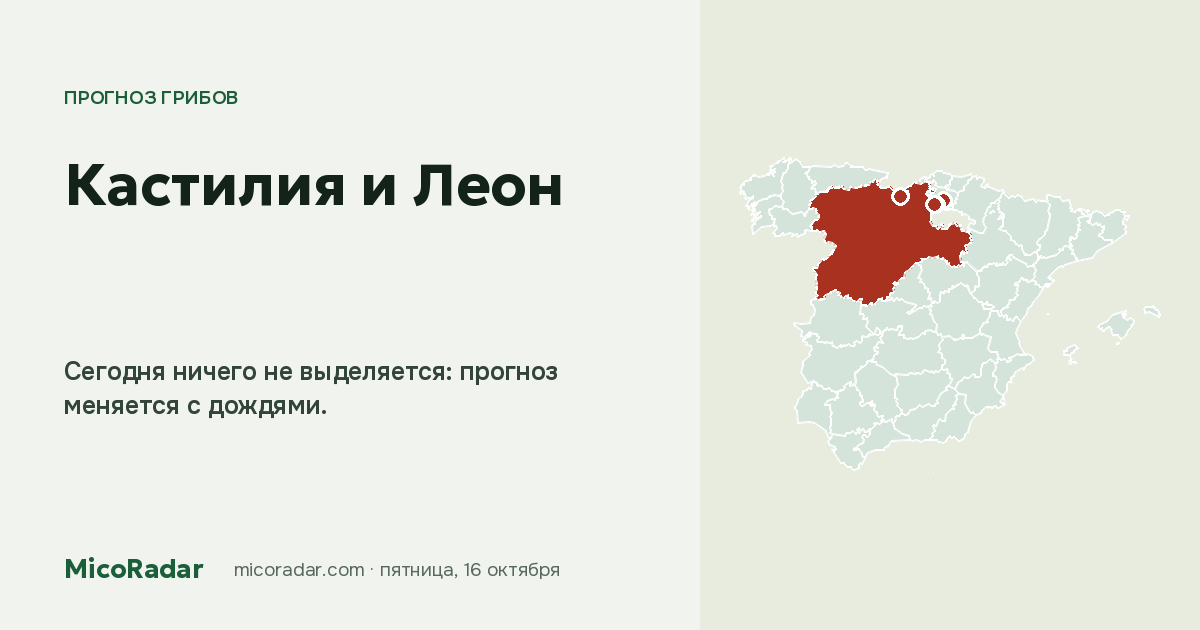 Прогноз грибов на сегодня: Кастилия и Леон
