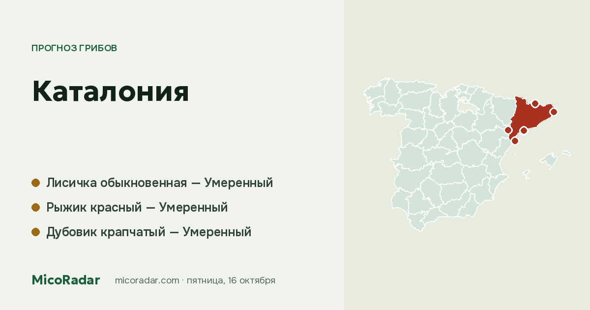 Прогноз грибов на сегодня: Каталония
