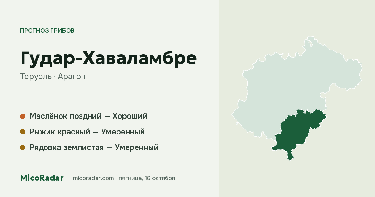 Прогноз грибов на сегодня: Гудар-Хаваламбре