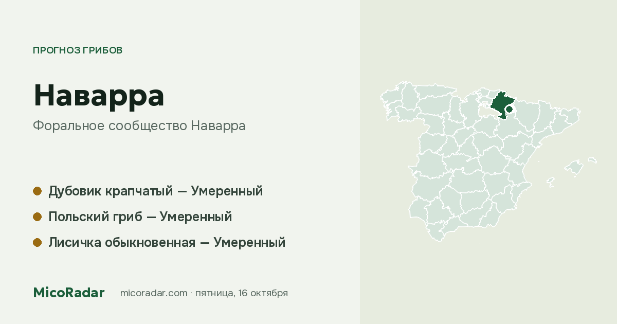 Прогноз грибов на сегодня: Наварра