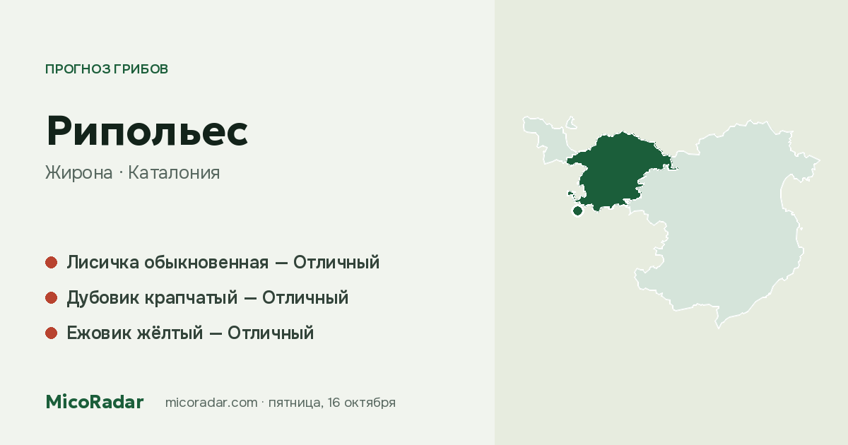 Прогноз грибов на сегодня: Рипольес