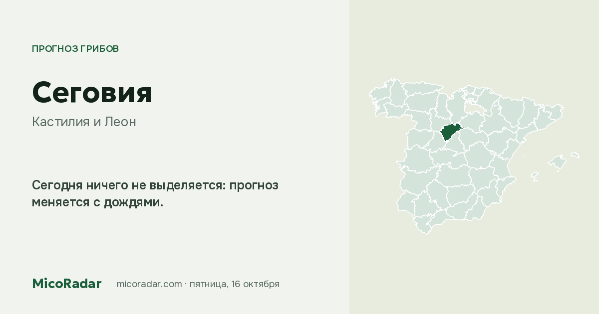 Прогноз грибов на сегодня: Сеговия