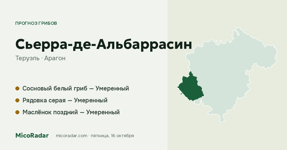 Прогноз грибов на сегодня: Сьерра-де-Альбаррасин