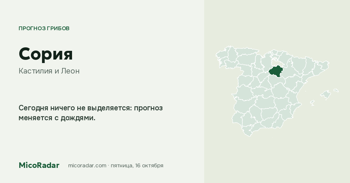 Прогноз грибов на сегодня: Сория