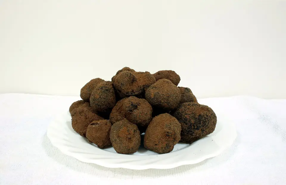Trufa negra