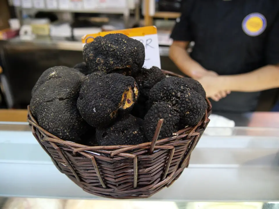 Trufa negra