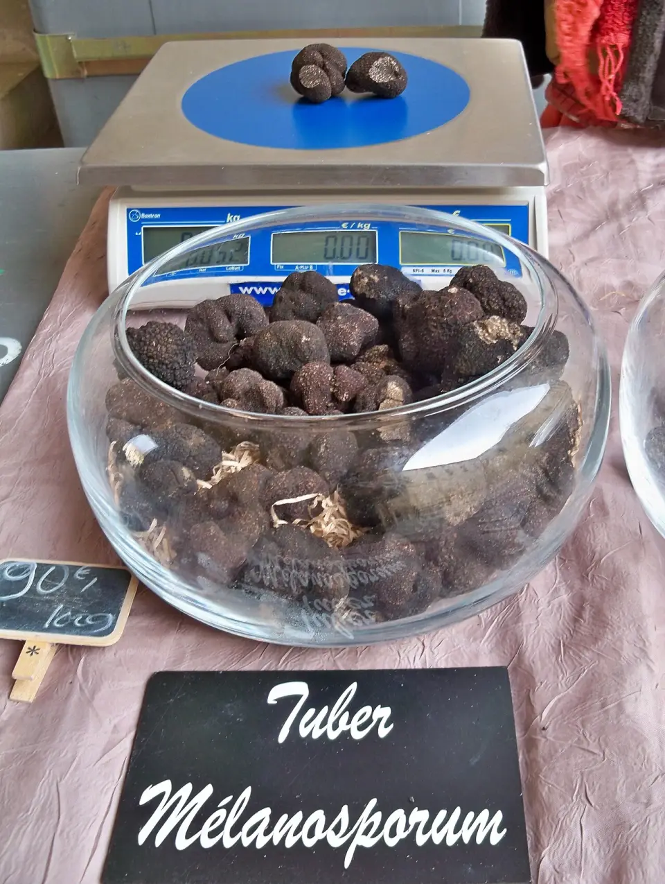 Trufa negra